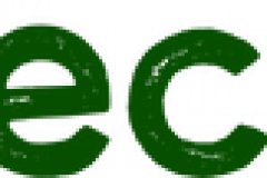 119% Increase in Overall Traffic from AI Overviews